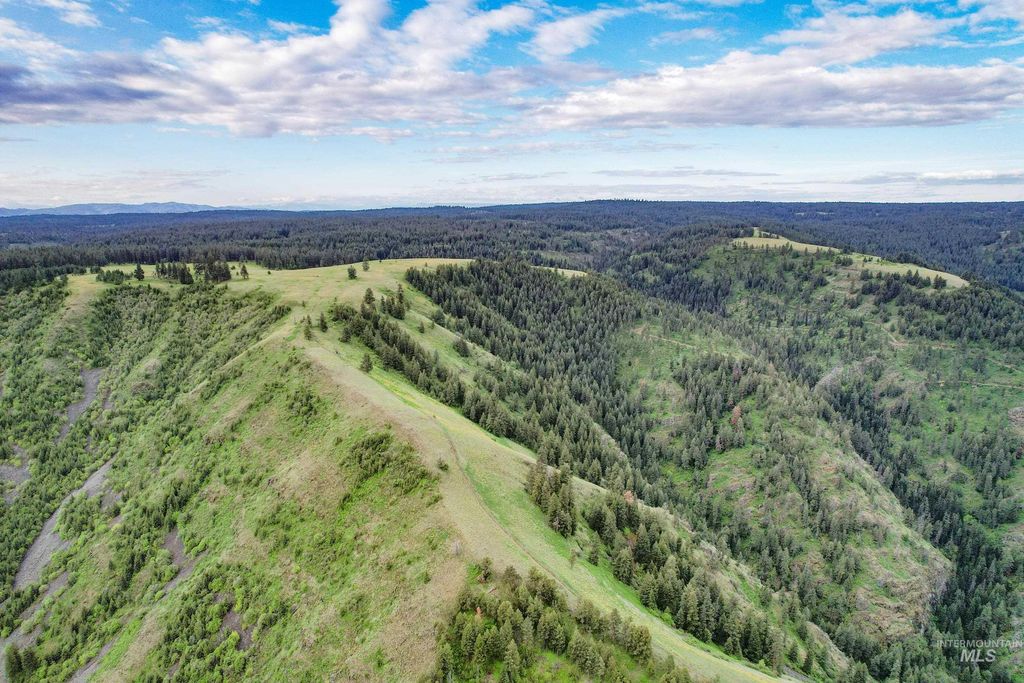 205 Burnt Creek Road, CottonWood, ID 83522 photo 15