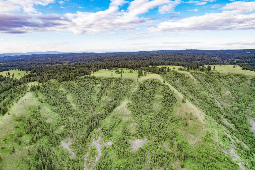 205 Burnt Creek Road, CottonWood, ID 83522 photo 16