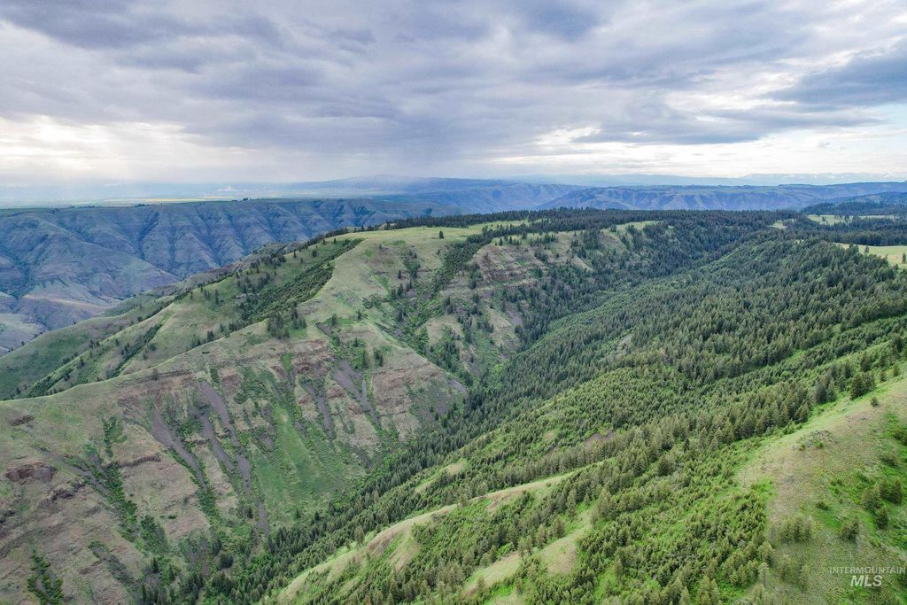 205 Burnt Creek Road, CottonWood, ID 83522 photo 17