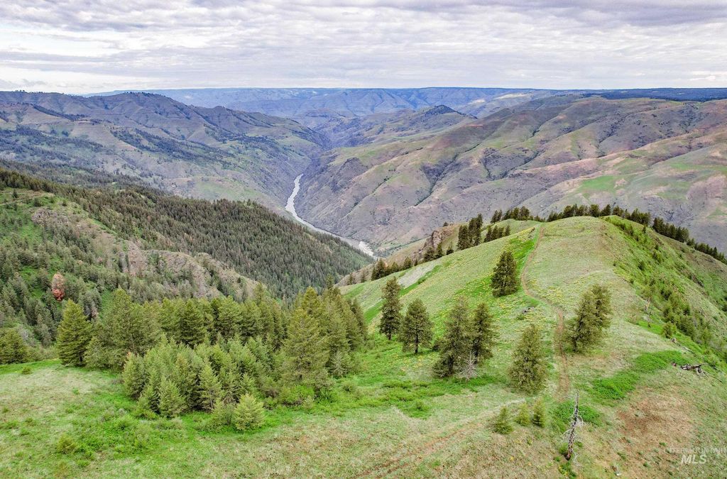 205 Burnt Creek Road, CottonWood, ID 83522 photo 18