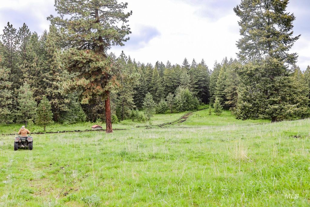 205 Burnt Creek Road, CottonWood, ID 83522 photo 22