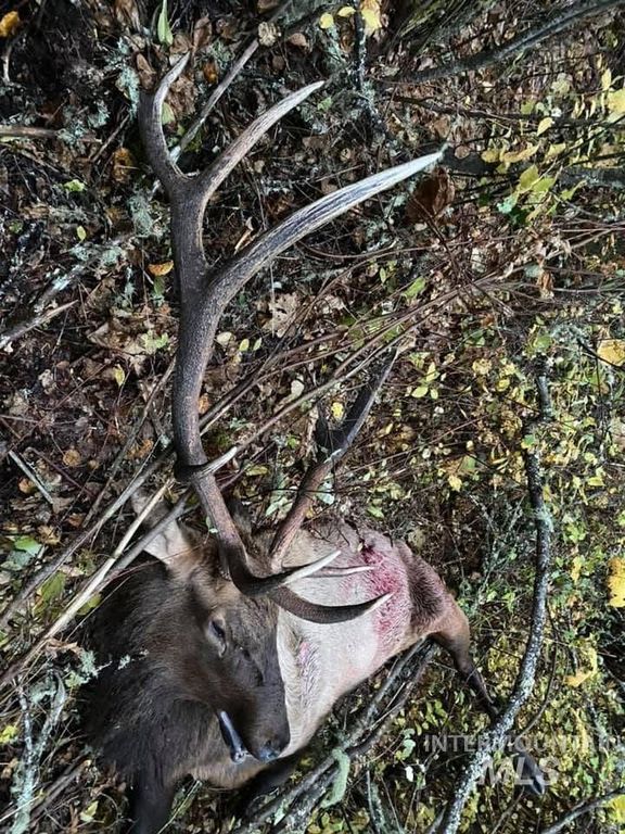 205 Burnt Creek Road, CottonWood, ID 83522 photo 25