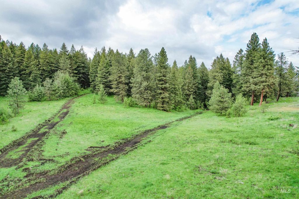 205 Burnt Creek Road, CottonWood, ID 83522 photo 3