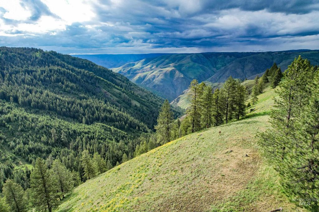 205 Burnt Creek Road, CottonWood, ID 83522 photo 5