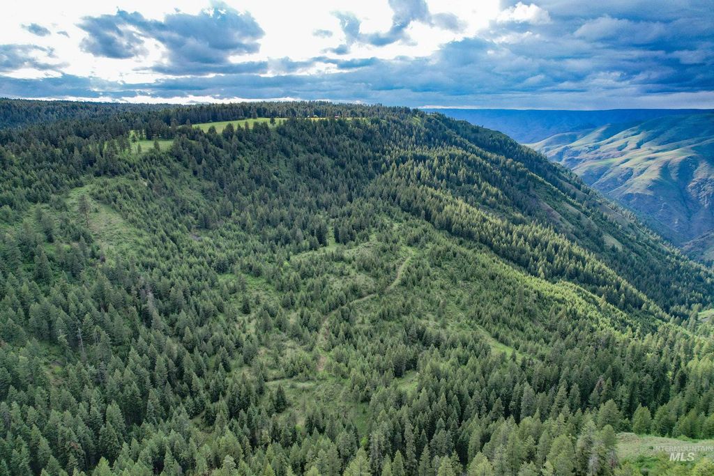 205 Burnt Creek Road, CottonWood, ID 83522 photo 6