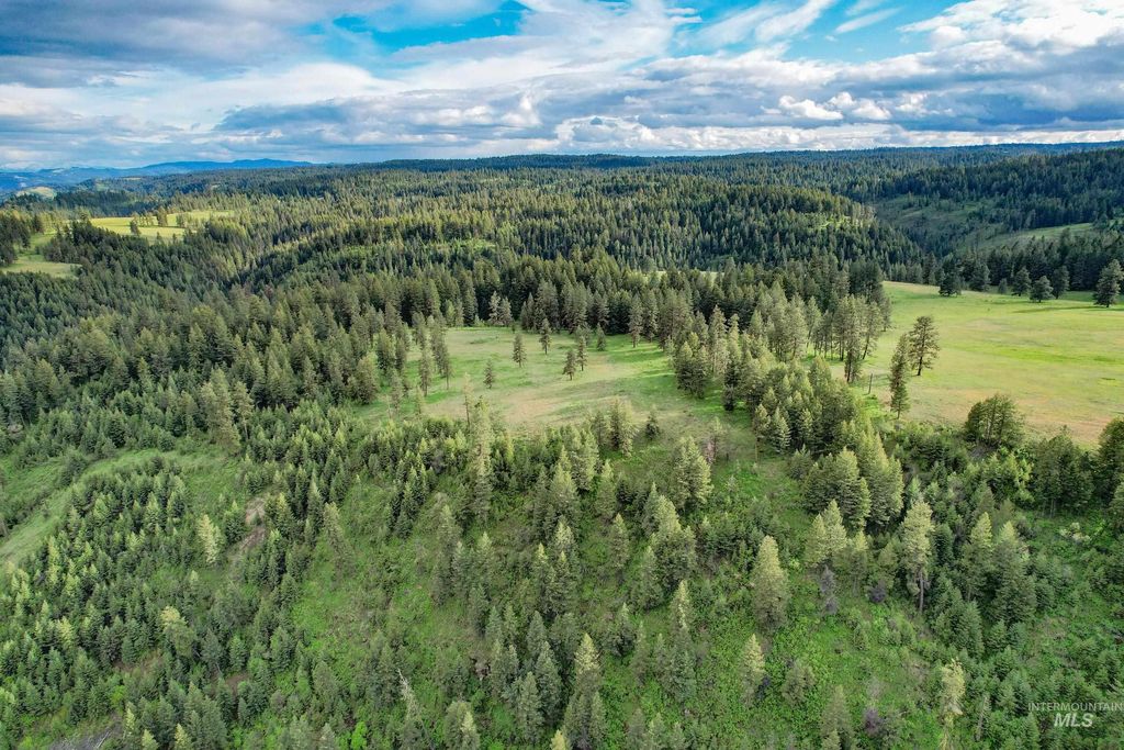 205 Burnt Creek Road, CottonWood, ID 83522 photo 7