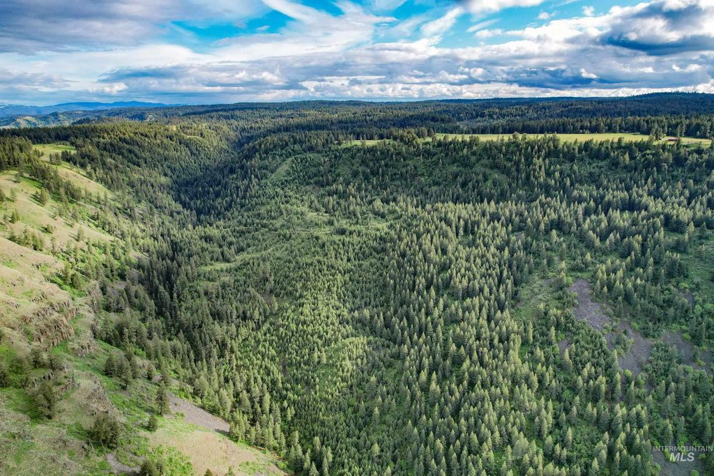 205 Burnt Creek Road, CottonWood, ID 83522 photo 8