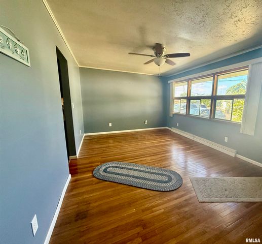 315 S JACKSON Street, Rushville, IL 62681