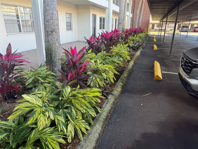 2452 ENTERPRISE ROAD 29, Clearwater, FL 33763