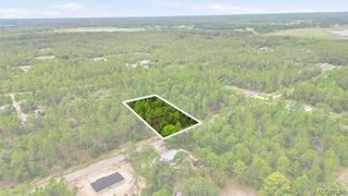 0000 SW Beaver Drive, Dunnellon, FL 34431