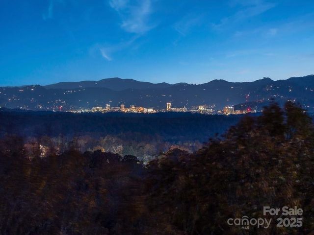 222 Secluded Hills Lane, Arden, NC 28704