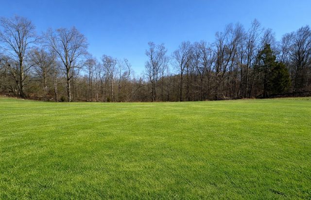 1028 Mount Vernon Rd, Bethpage, TN 37022