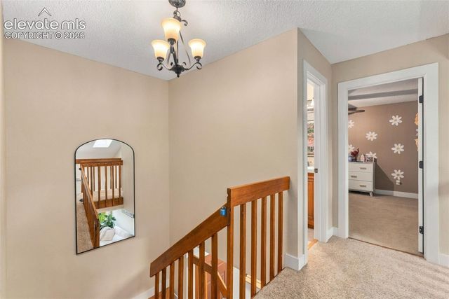 271 N Holcomb Circle, Castle Rock, CO 80104
