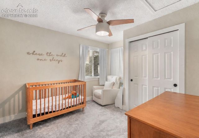 271 N Holcomb Circle, Castle Rock, CO 80104