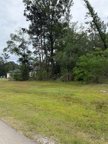 31 Road 66111, Dayton, TX 77535