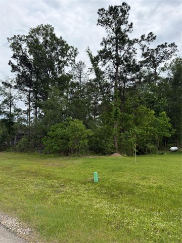 31 Road 66111, Dayton, TX 77535