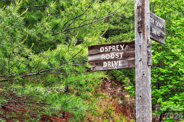 159 Osprey Roost Drive, Nebo, NC 28761