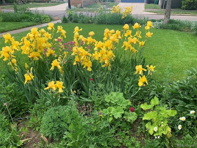 4528 W 27th Avenue, Denver, CO 80212