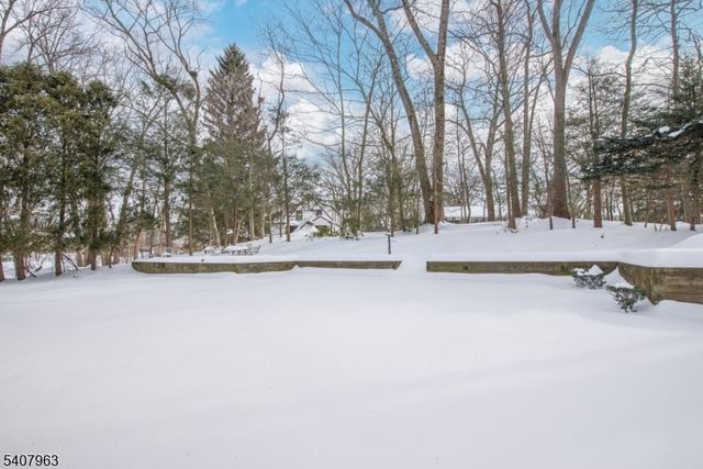 63 Crane Rd, Mountain Lakes Boro, NJ 07046