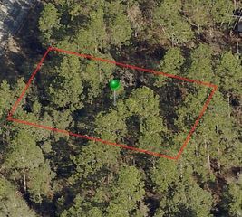 2982 W MARIE DRIVE, Citrus Springs, FL 34433