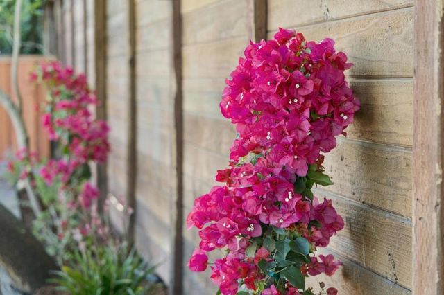 822 Amber Lane, Los Altos, CA 94024