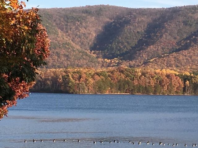 253 Island Green DR, Penhook, VA 24137