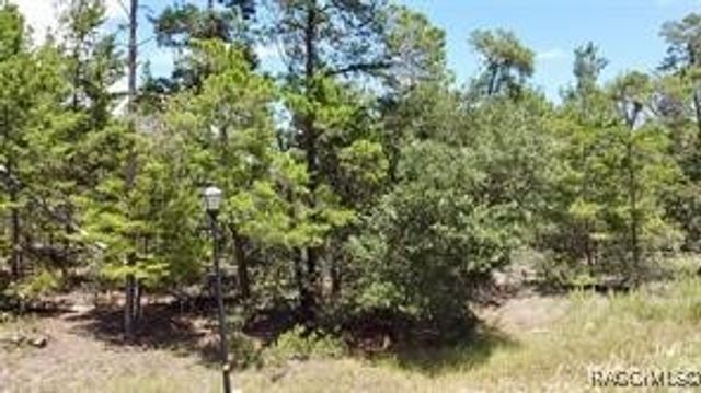 1 Crossandra Court E, Homosassa, FL 34446