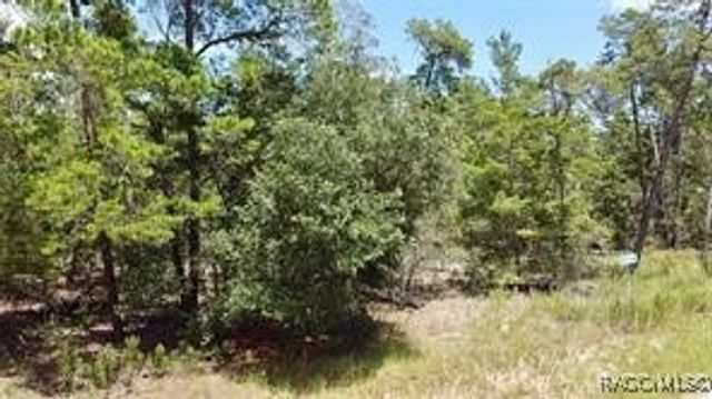 1 Crossandra Court E, Homosassa, FL 34446