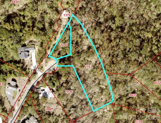 99999 High Bluff Drive, Weaverville, NC 28787