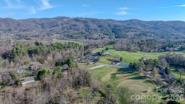 99999 High Bluff Drive, Weaverville, NC 28787