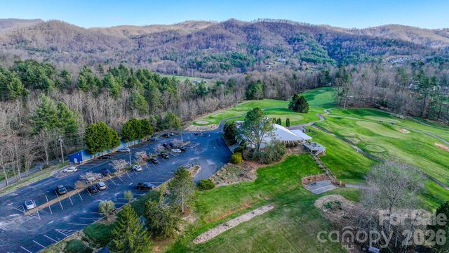 99999 High Bluff Drive, Weaverville, NC 28787