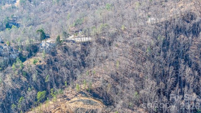 99999 High Bluff Drive, Weaverville, NC 28787