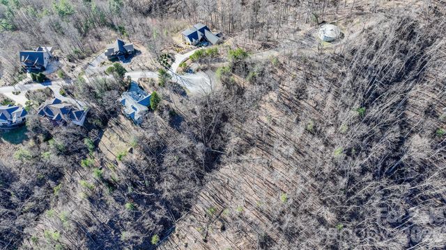 99999 High Bluff Drive, Weaverville, NC 28787
