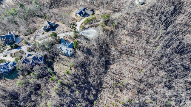 99999 High Bluff Drive, Weaverville, NC 28787