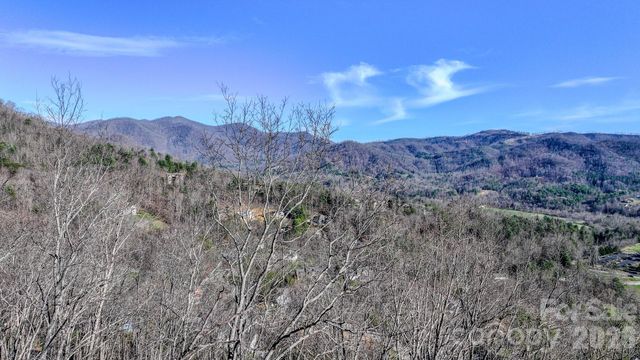 99999 High Bluff Drive, Weaverville, NC 28787