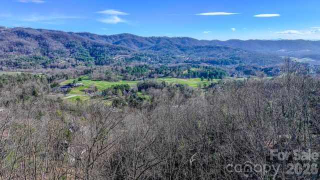 99999 High Bluff Drive, Weaverville, NC 28787