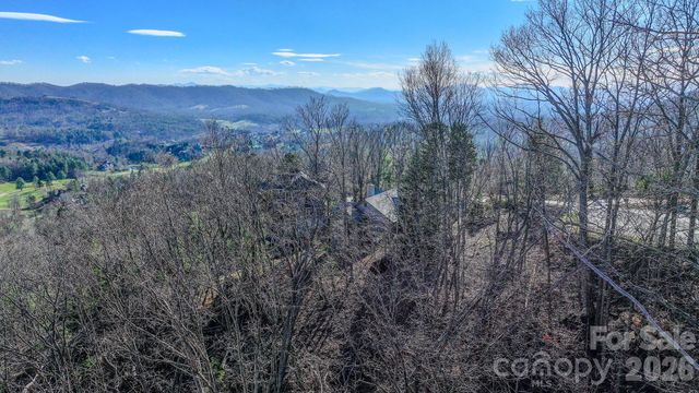 99999 High Bluff Drive, Weaverville, NC 28787