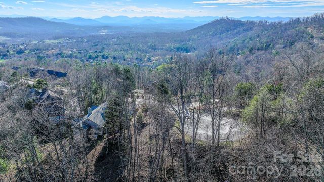 99999 High Bluff Drive, Weaverville, NC 28787