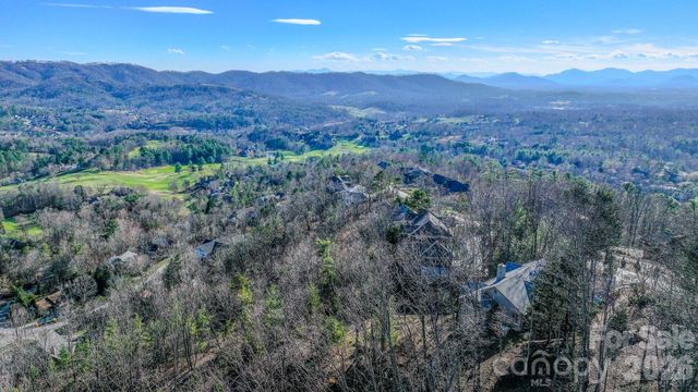 99999 High Bluff Drive, Weaverville, NC 28787