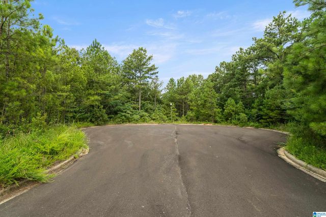 6507 IVY WALK, Mccalla, AL 35022