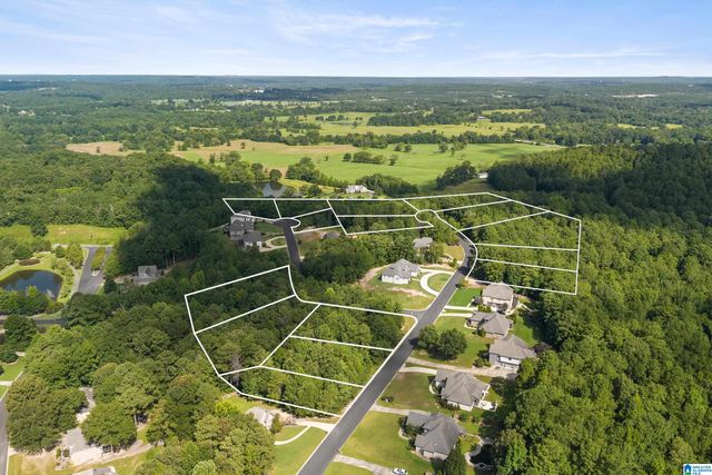 6507 IVY WALK, Mccalla, AL 35022