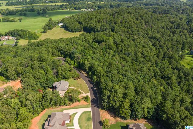 6507 IVY WALK, Mccalla, AL 35022