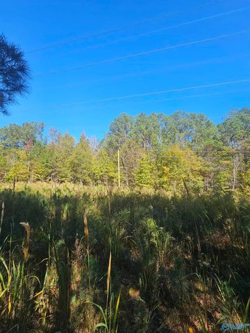 010 County Road 70, Sand Rock, AL 35984