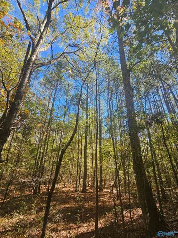 010 County Road 70, Sand Rock, AL 35984