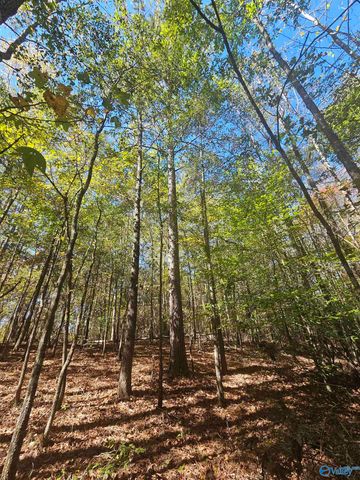 010 County Road 70, Sand Rock, AL 35984