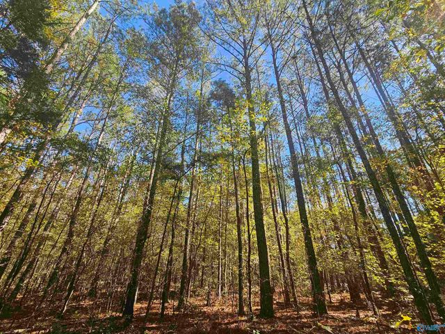 010 County Road 70, Sand Rock, AL 35984