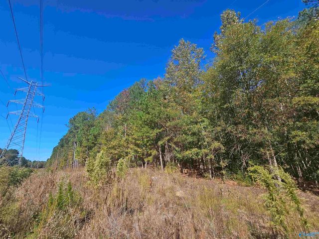 010 County Road 70, Sand Rock, AL 35984