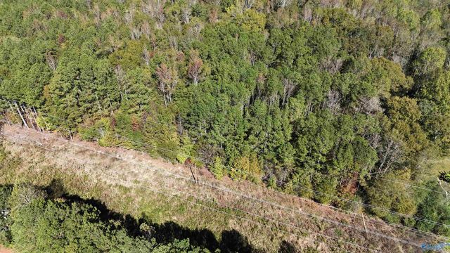 010 County Road 70, Sand Rock, AL 35984