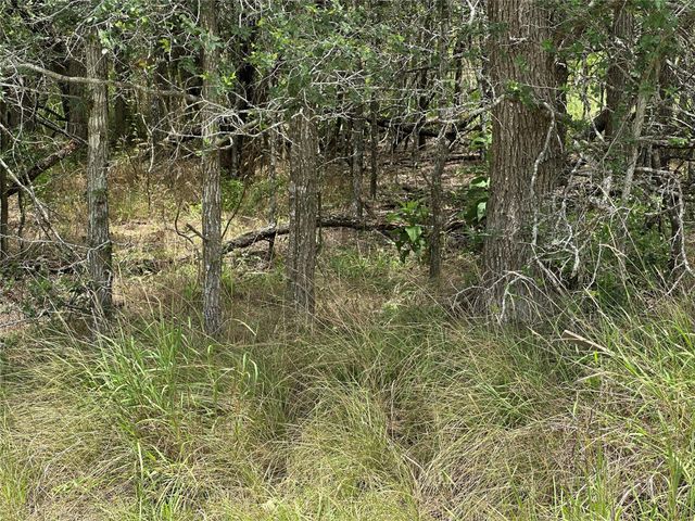 187 Puu Waa Waa LN, Bastrop, TX 78602