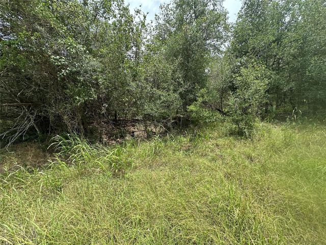 187 Puu Waa Waa LN, Bastrop, TX 78602
